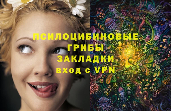 наркотики Алексин