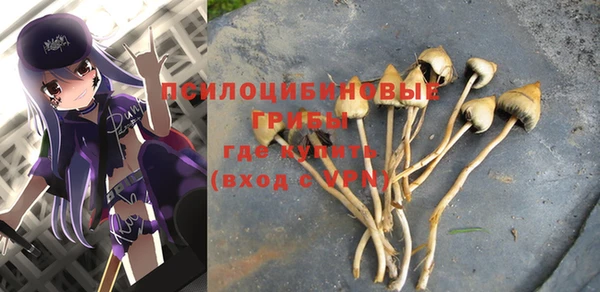 наркотики Алексин