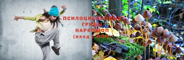 дмт Алексеевка