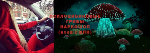 дмт Алексеевка